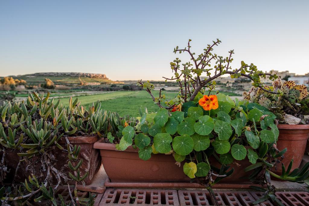 Villayana Holiday Home San Lawrenz Room photo